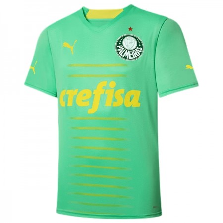 Camiseta de fútbol Palmeiras 3ª equipación 2022/23 Camiseta de fútbol Palmeiras 3ª equipación 2022/23